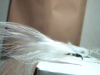 BLACK GHOST MARABOU